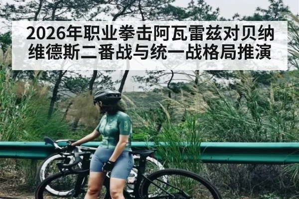 2026年职业拳击阿瓦雷兹对贝纳维德斯二番战与统一战格局推演